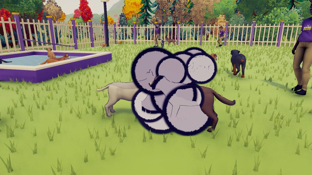 Kennel Chaos