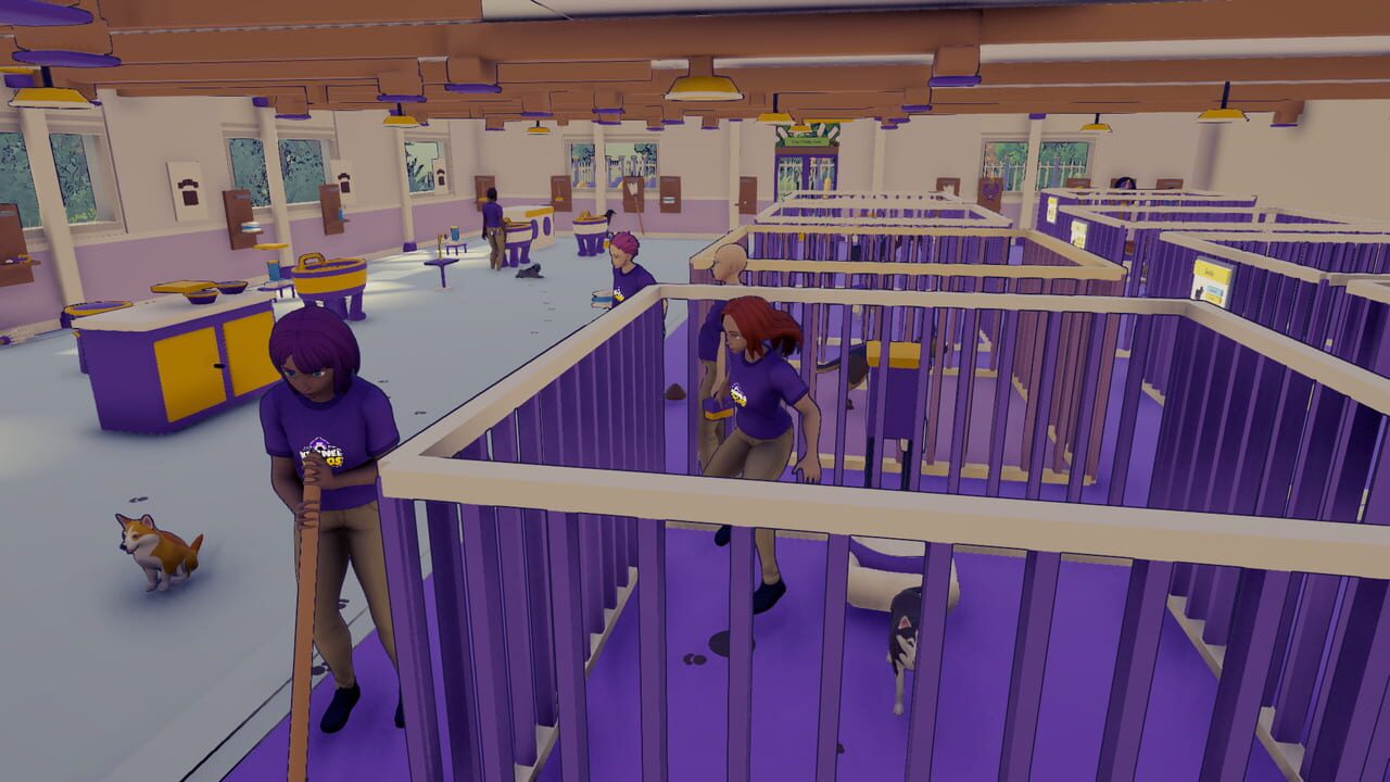 Kennel Chaos