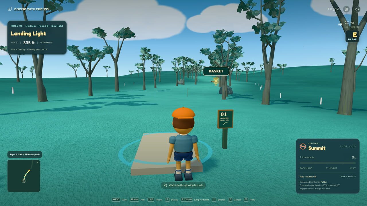 Discing With Friends