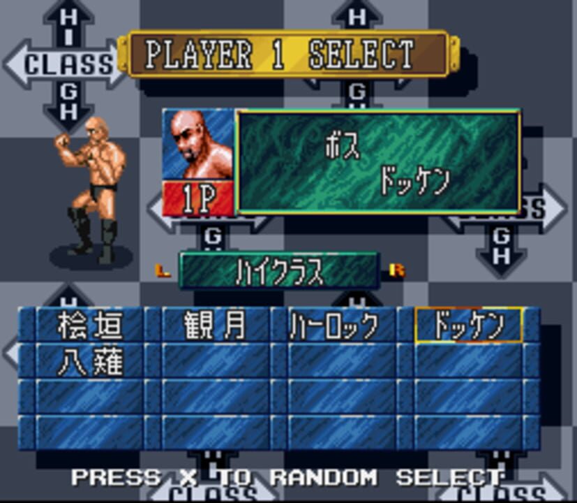 Super Fire Pro Wrestling X Premium