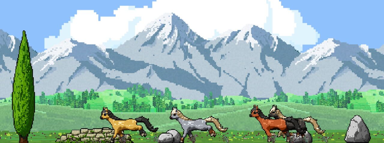 My Little Ranch