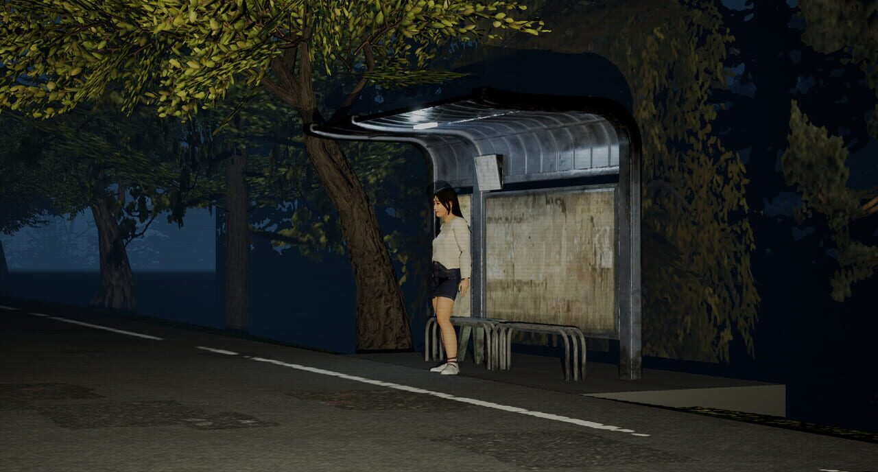 Night Drive: Anomaly
