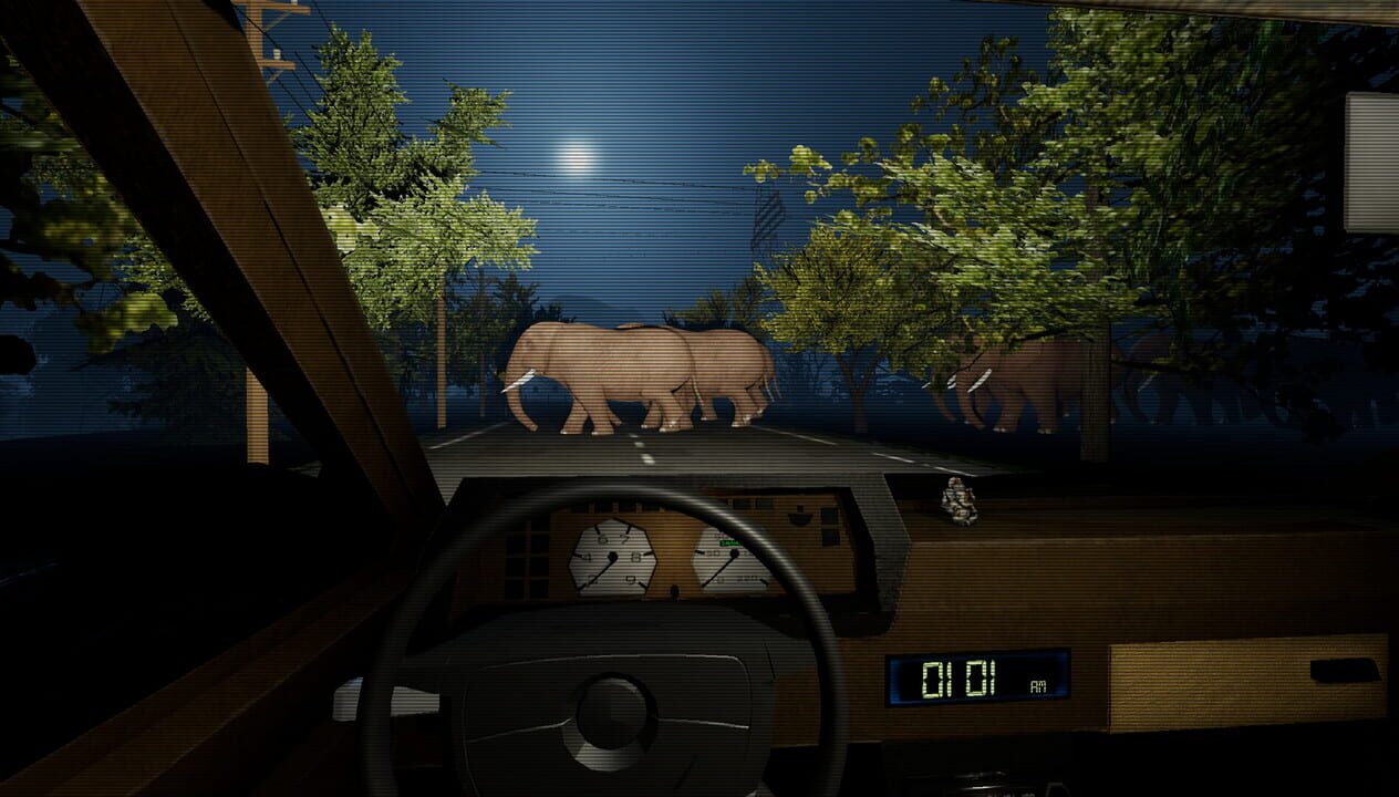 Night Drive: Anomaly