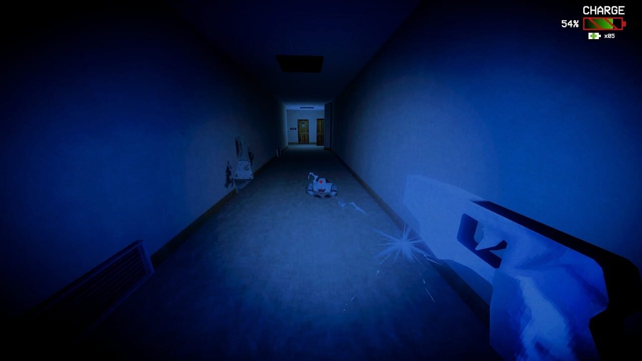 Unseen Beings