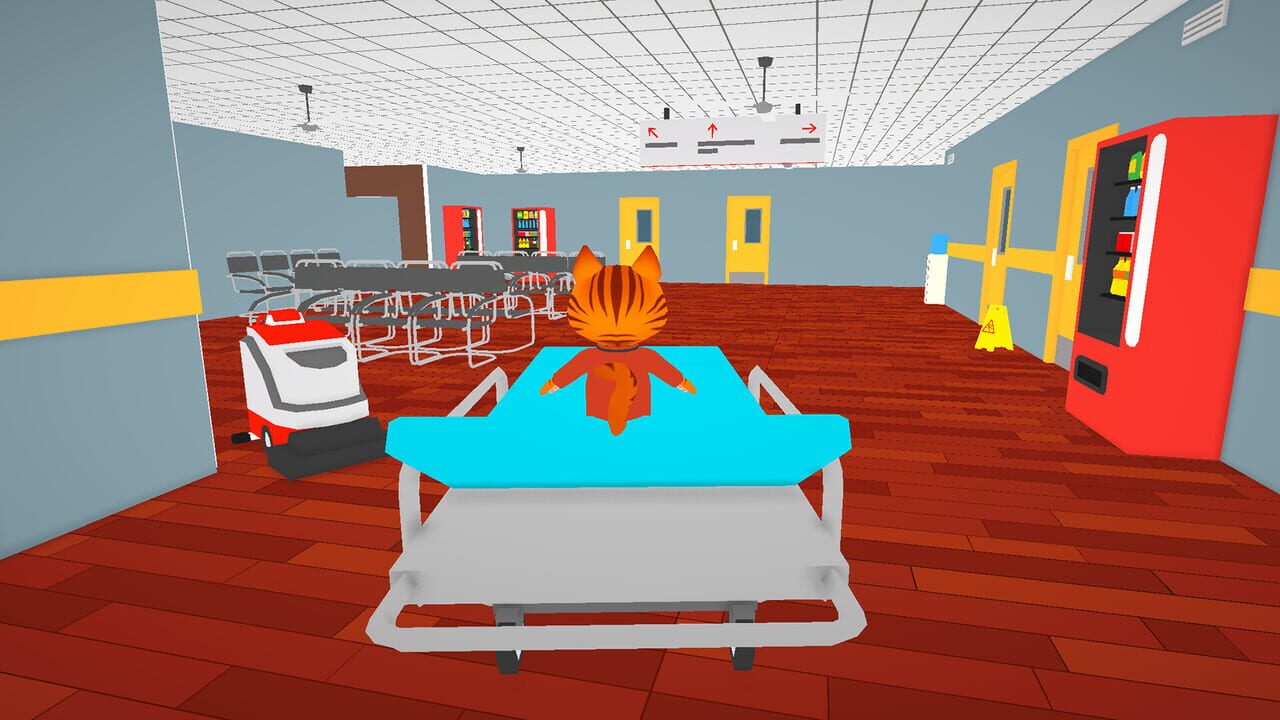Nine Lives Hospital