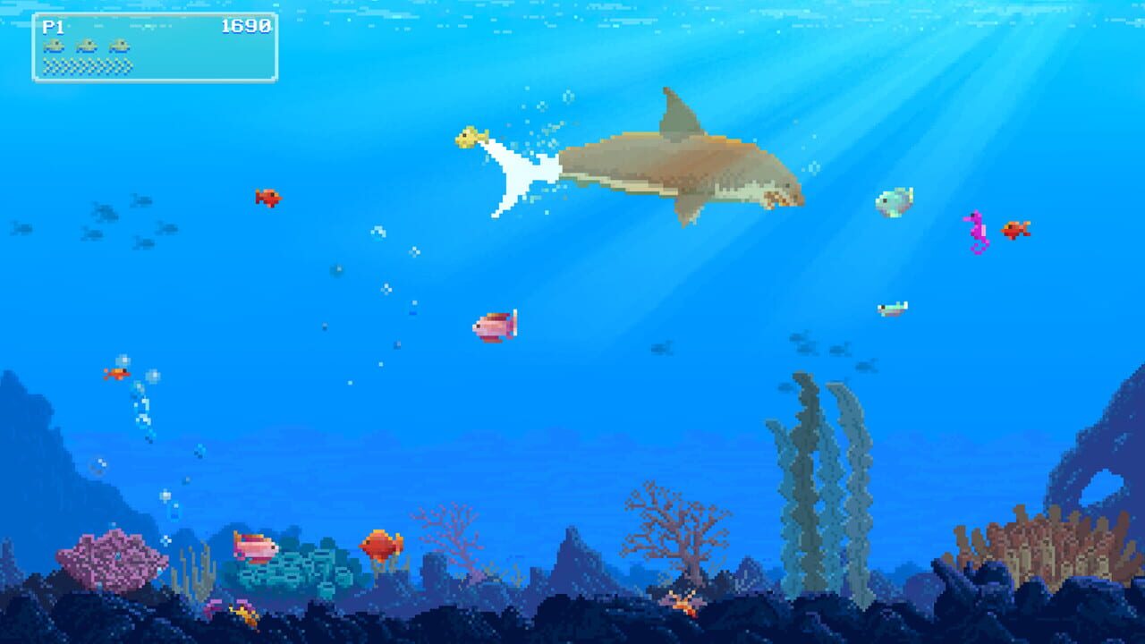Watch Out: Shark!