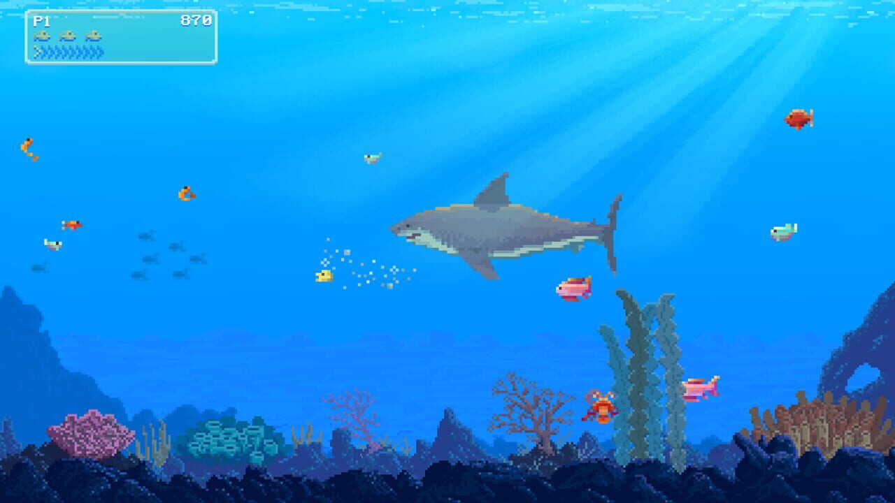 Watch Out: Shark!