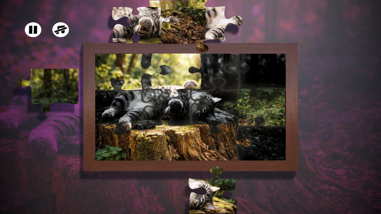 Puzzles