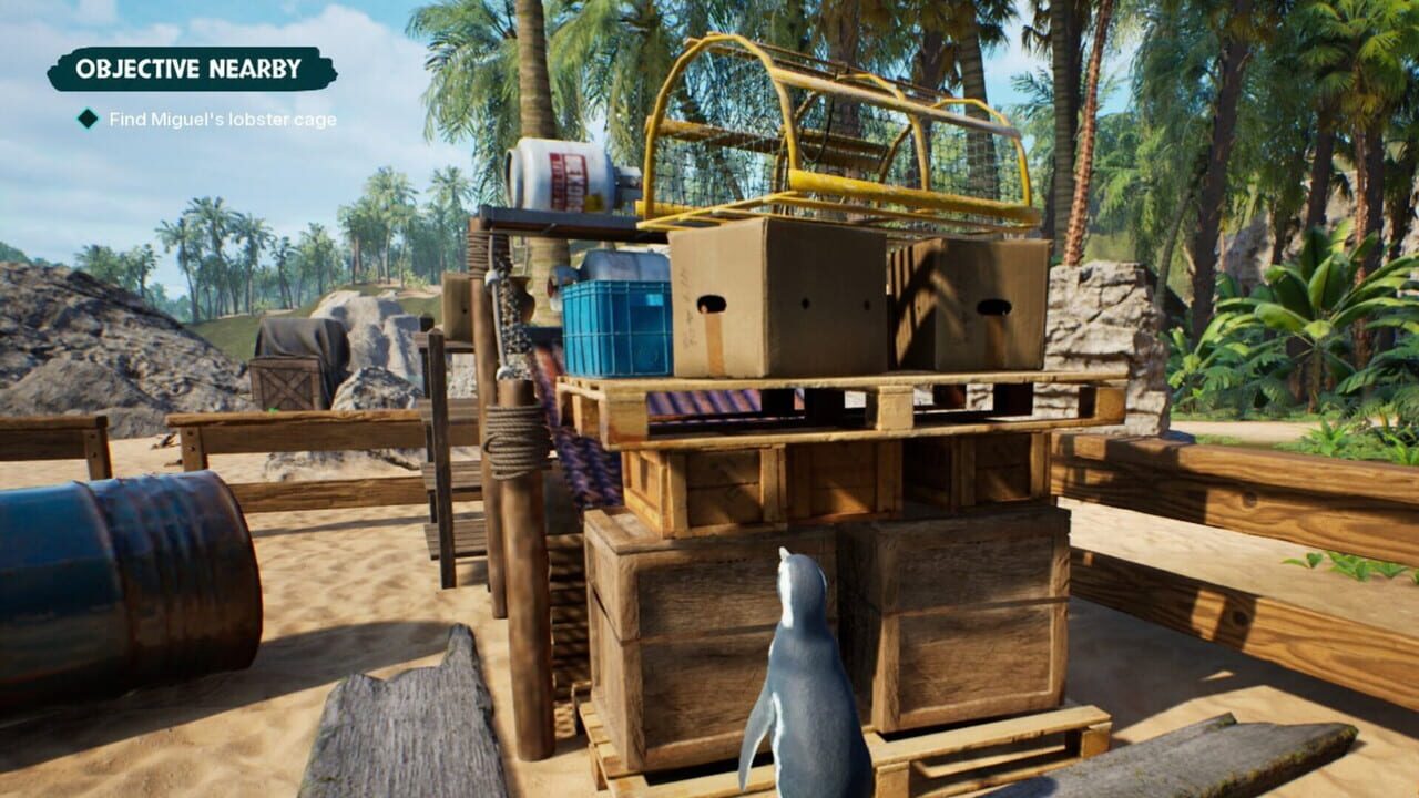My Penguin Friend