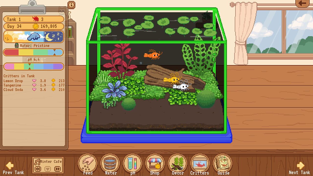 Tiny Glass Tank: Dwarf Shrimp and Friends - Kotaku