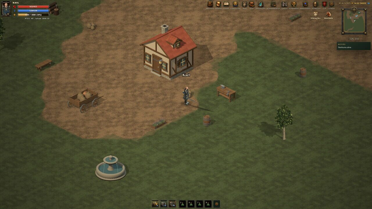 Arena Medieval