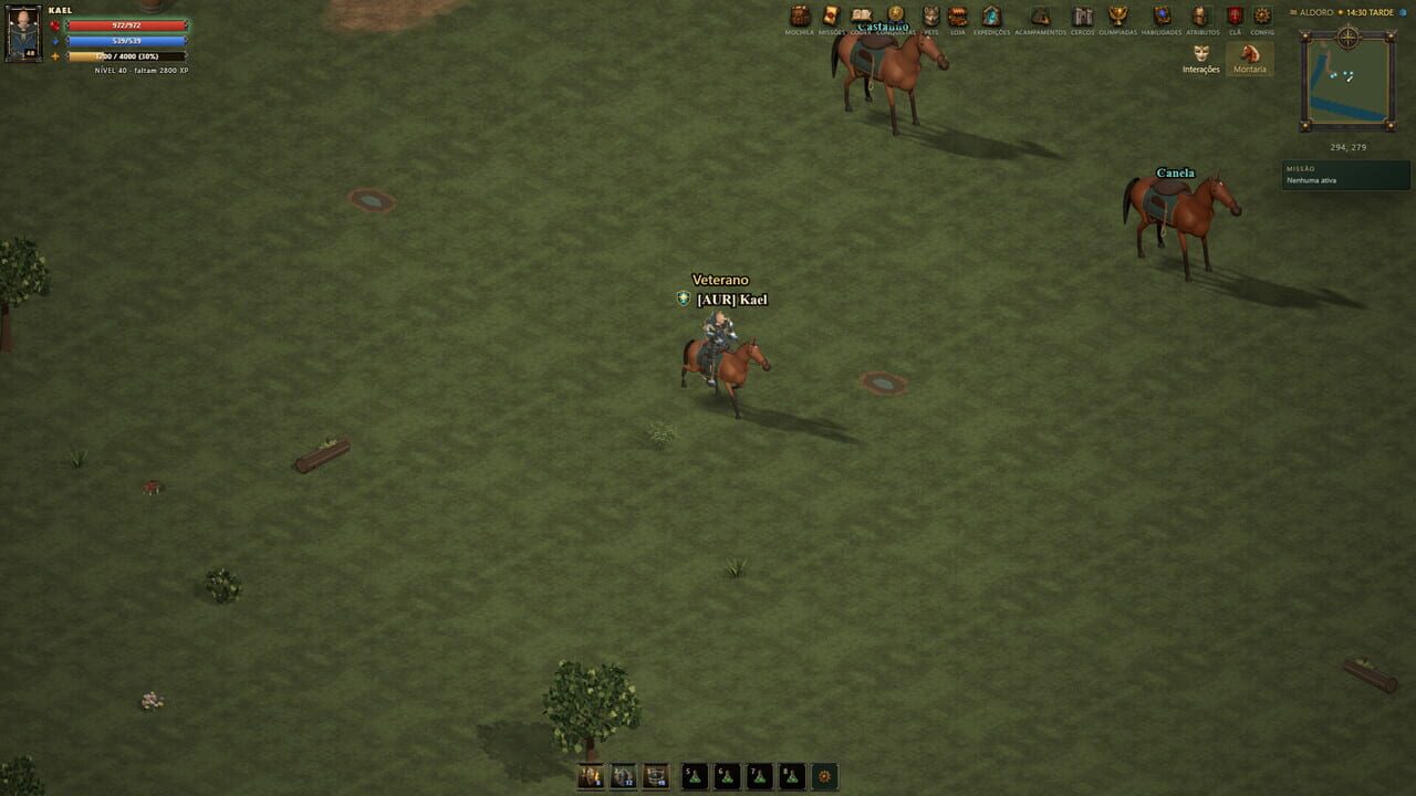 Arena Medieval