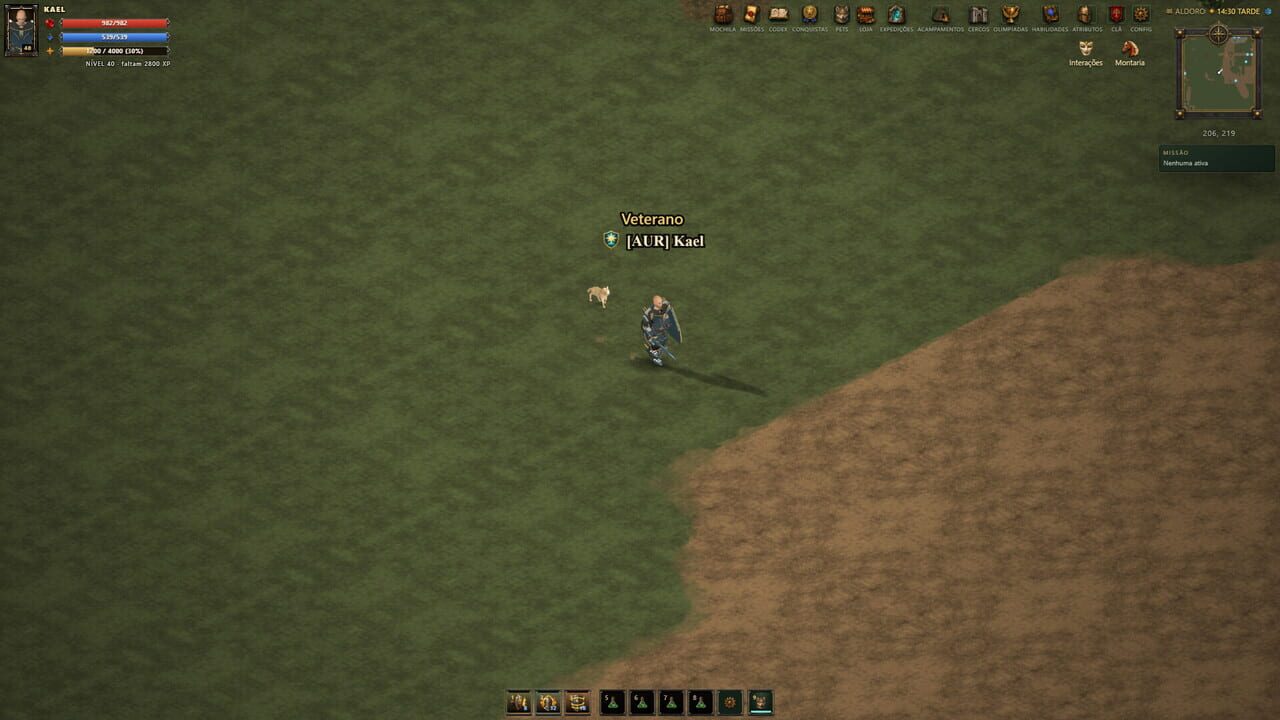 Arena Medieval