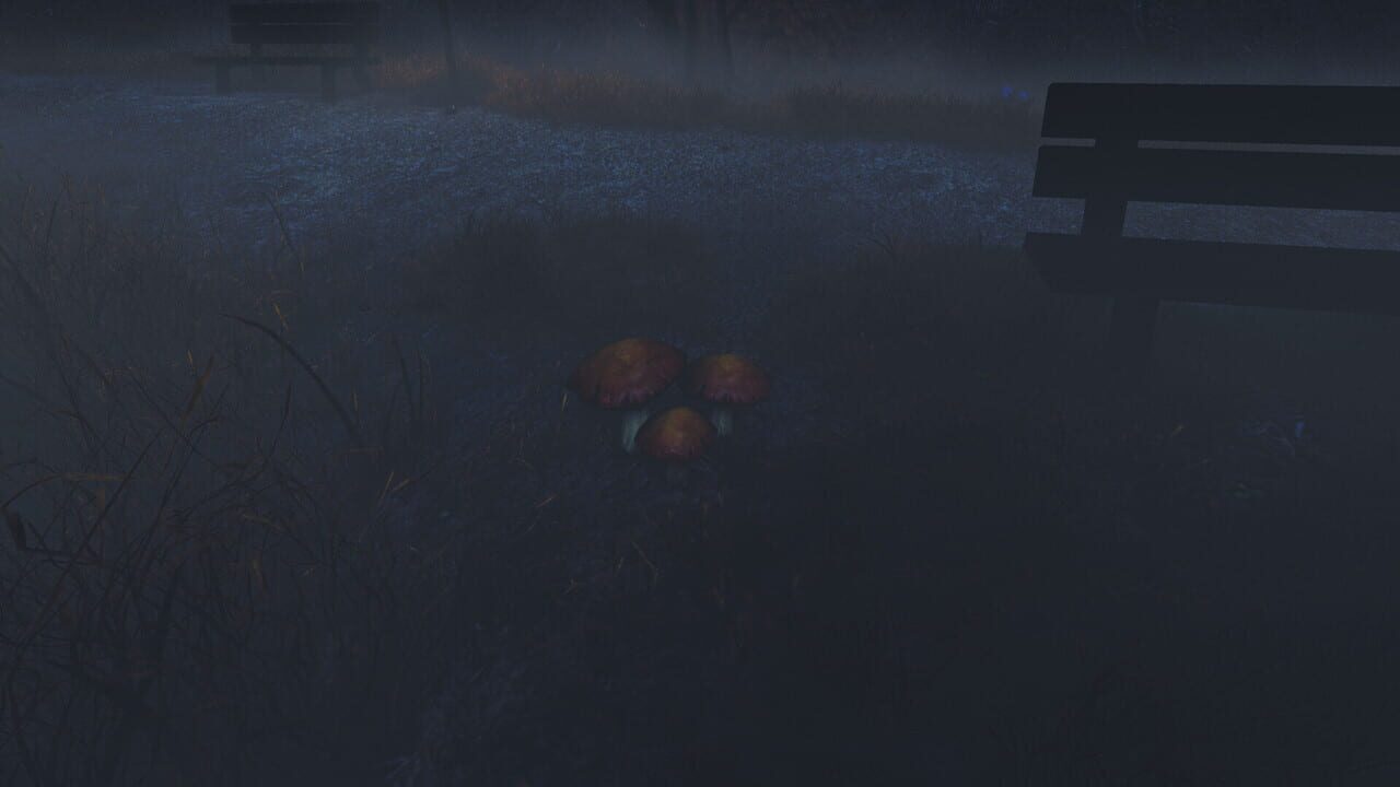 The Night Walk