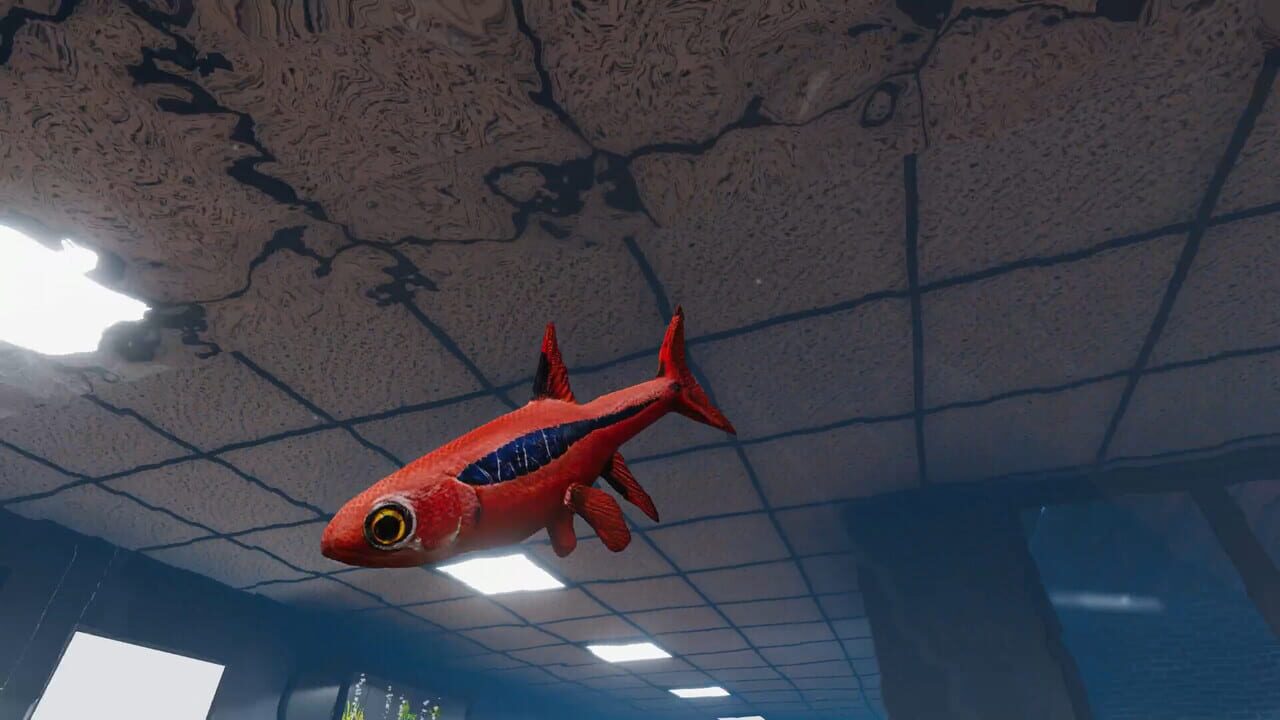 Aquarist: Asian Fish DLC