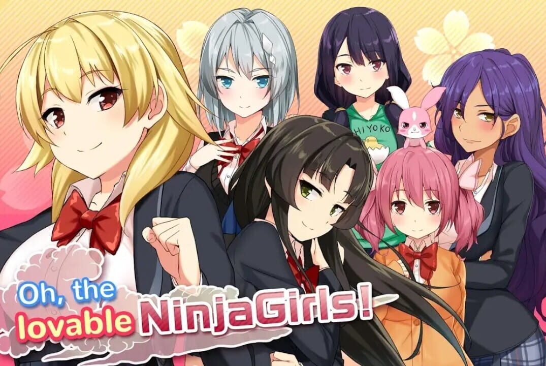 Moe! Ninja Girls