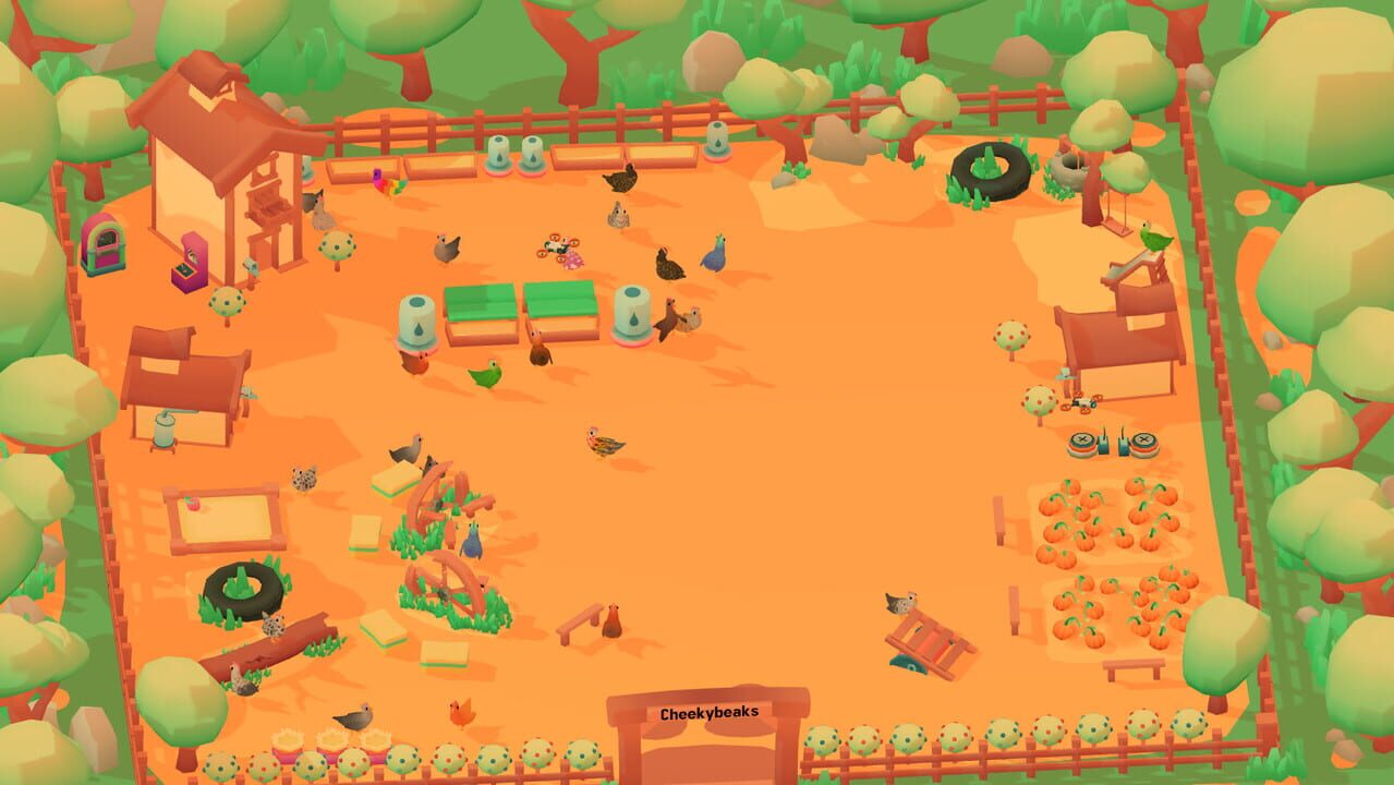 Cheeky Chooks