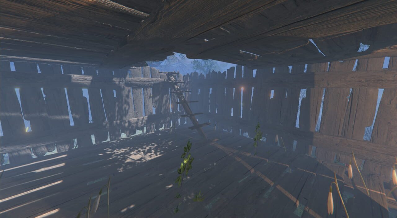 Axe: Survival