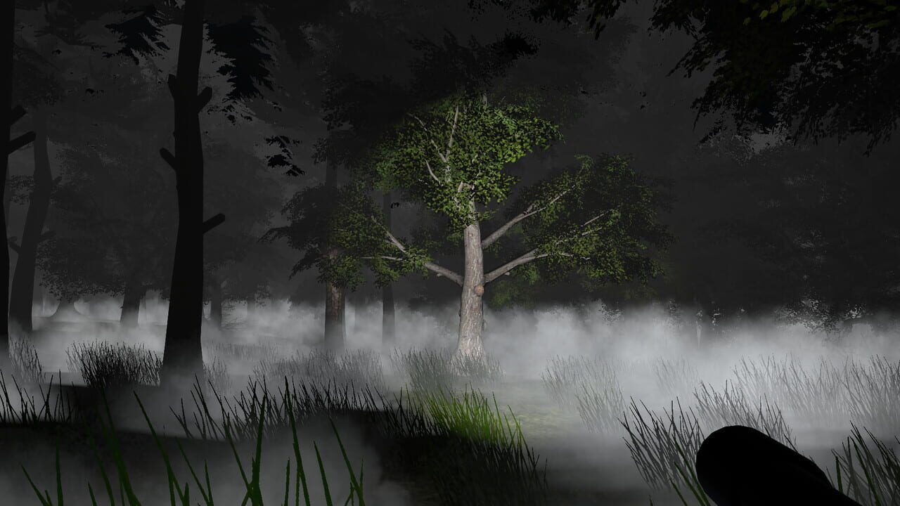 Go Outside Simulator