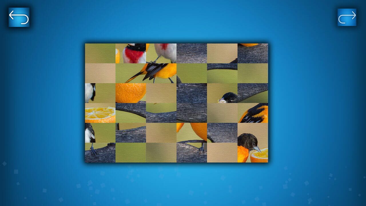 Puzzle: Birds