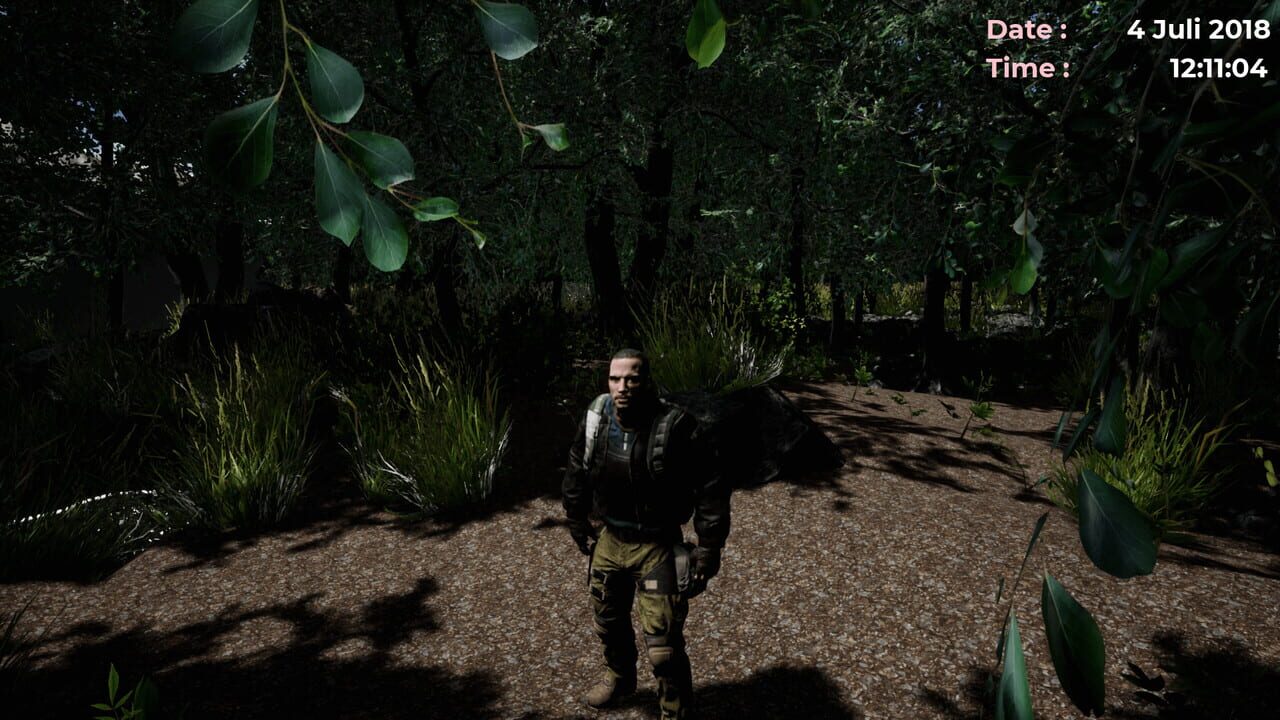 Country Desert Simulator