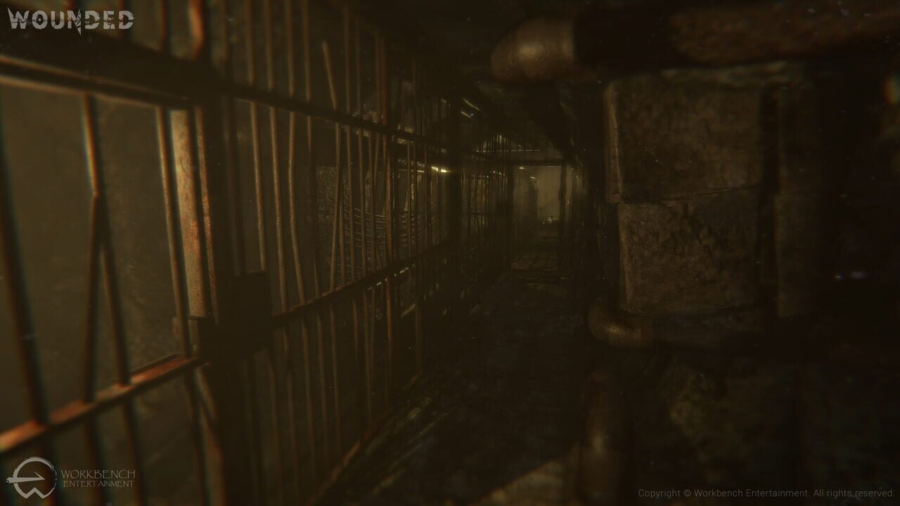 Wounded: The Beginning