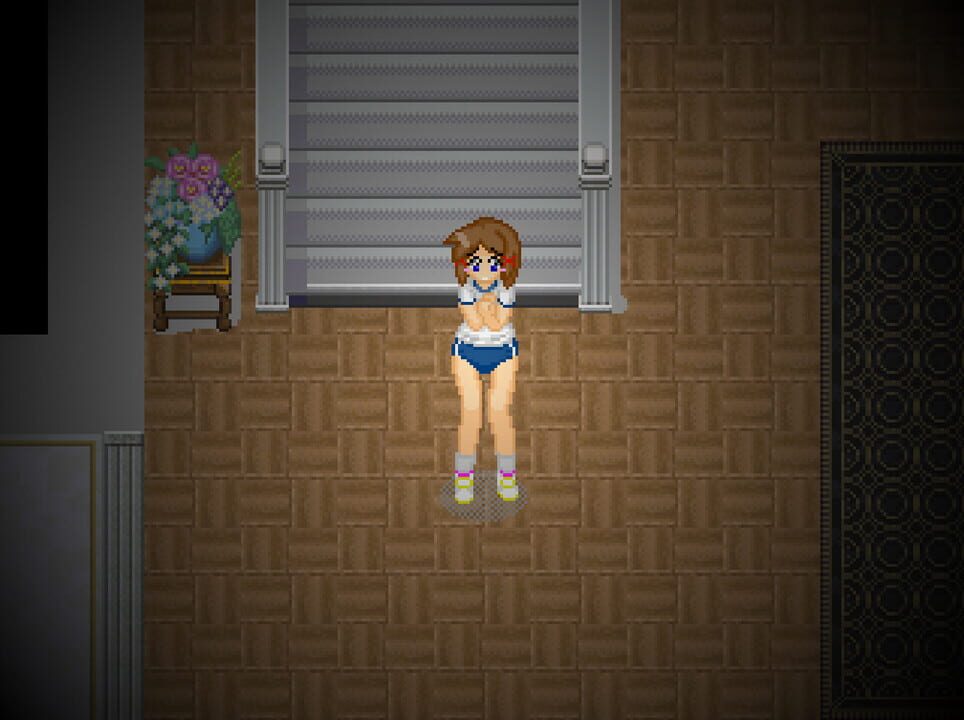 Alternate DiMansion Diary