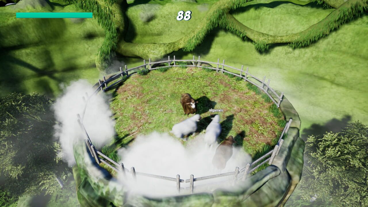 Sheep Collision