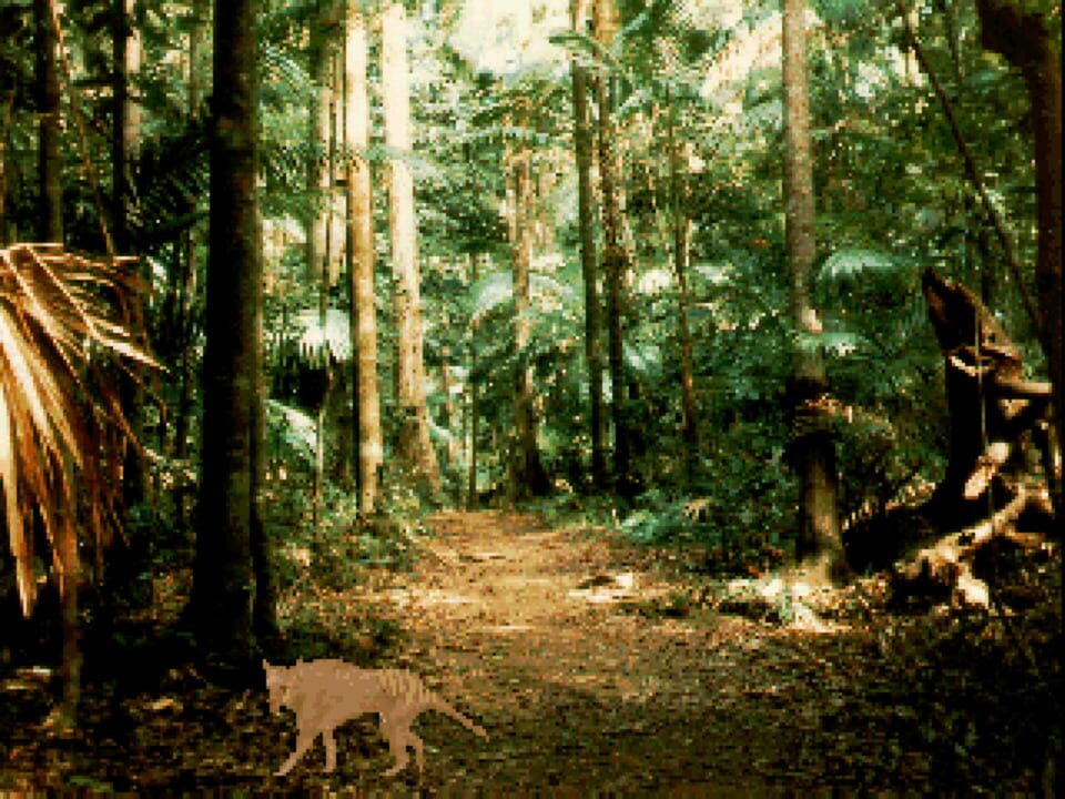 The Adventures of Down Under Dan