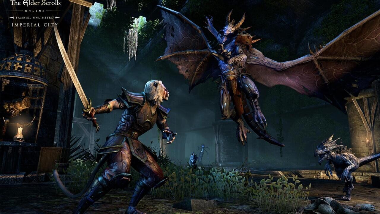 The Elder Scrolls Online: Imperial City