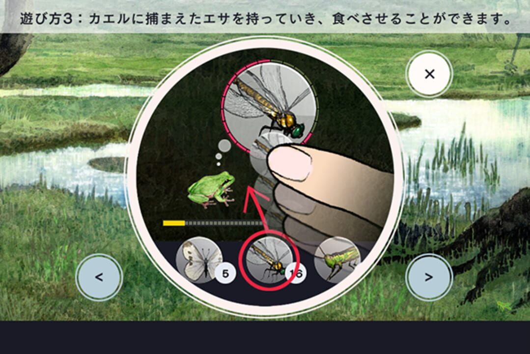 Frog Minutes