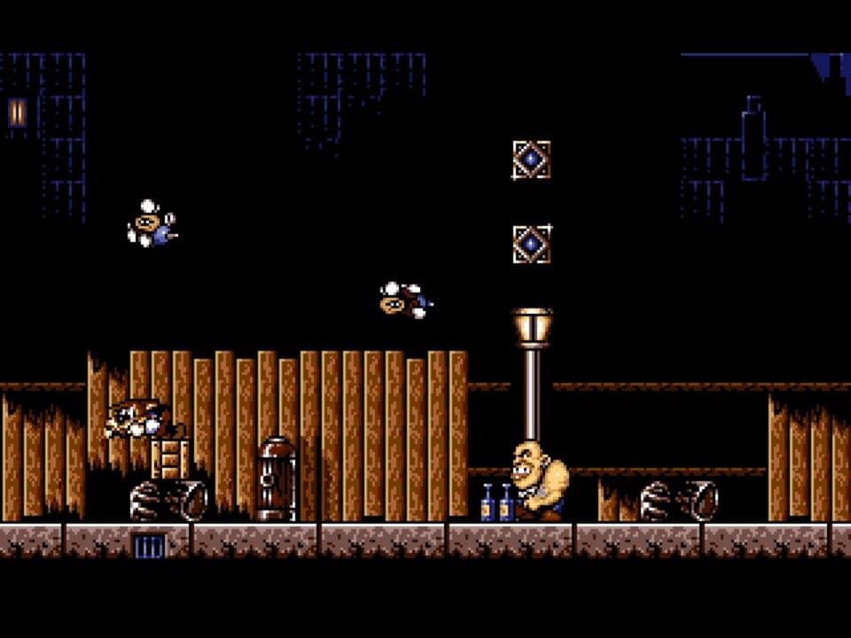 Titus the Fox: To Marrakech and Back