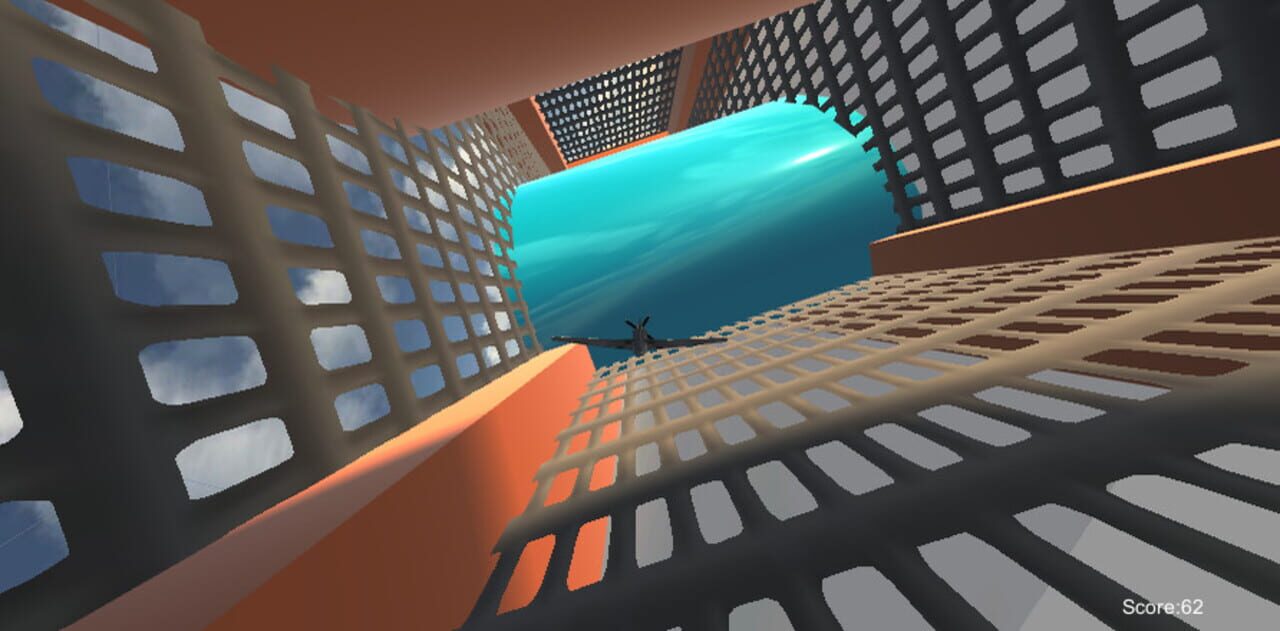 Extreme flight