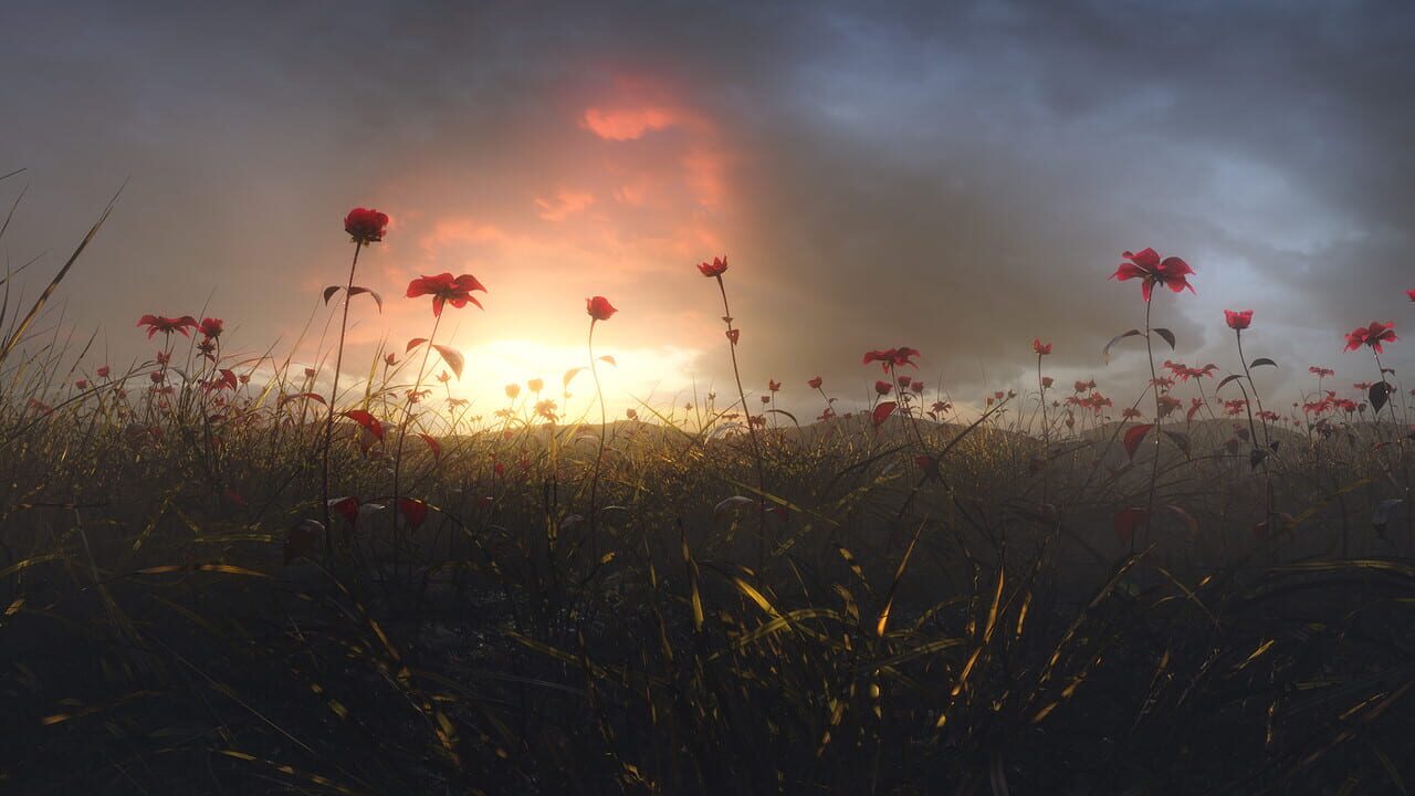 Conscious Existence – A Journey Within