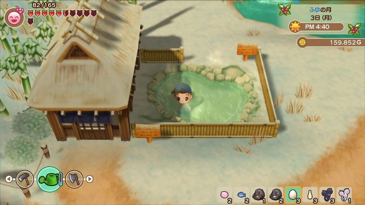 Story of Seasons: Friends of Mineral Town