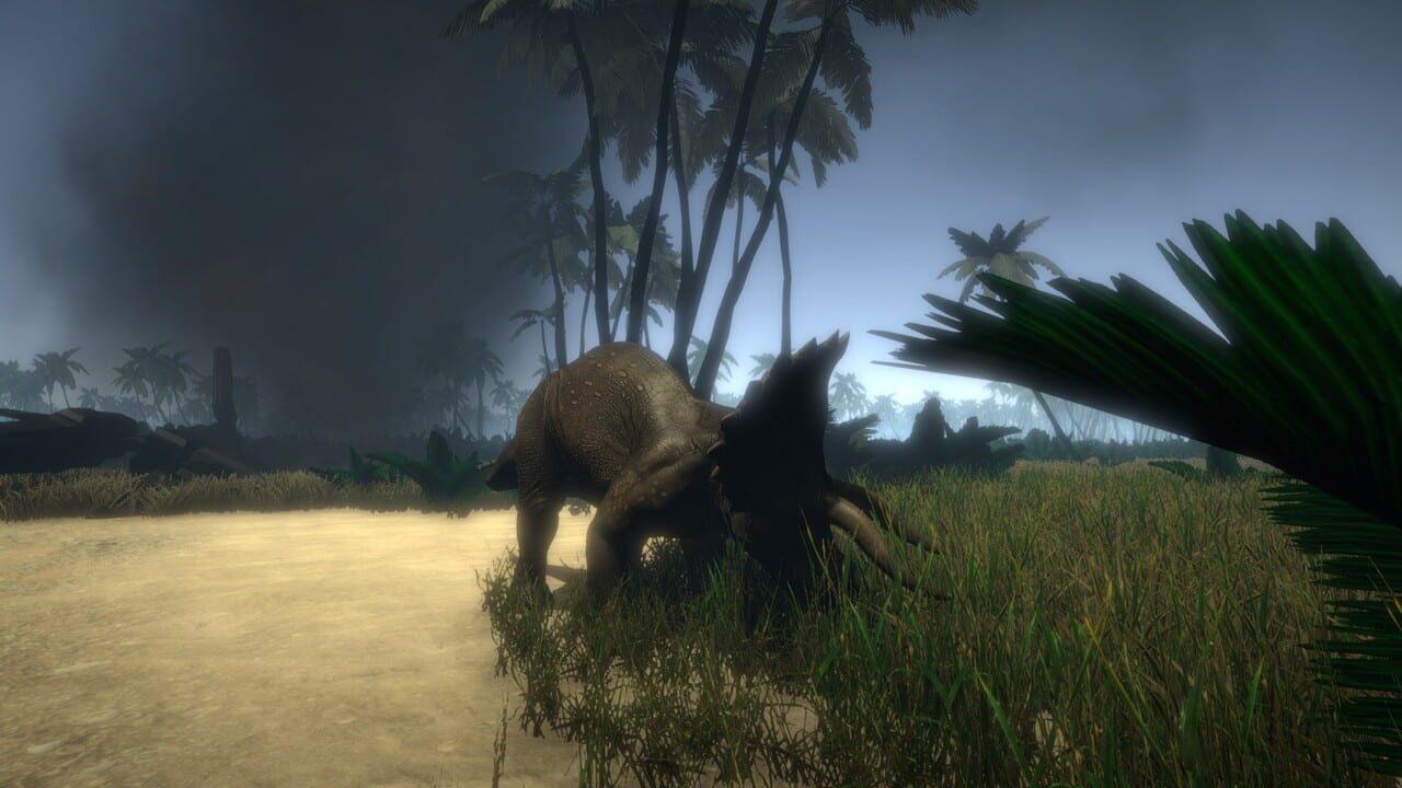 Island 1979