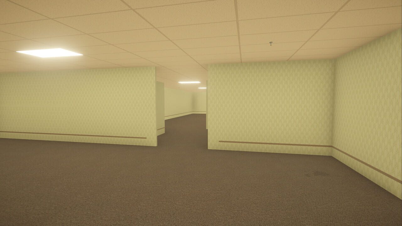The Backrooms Simulator