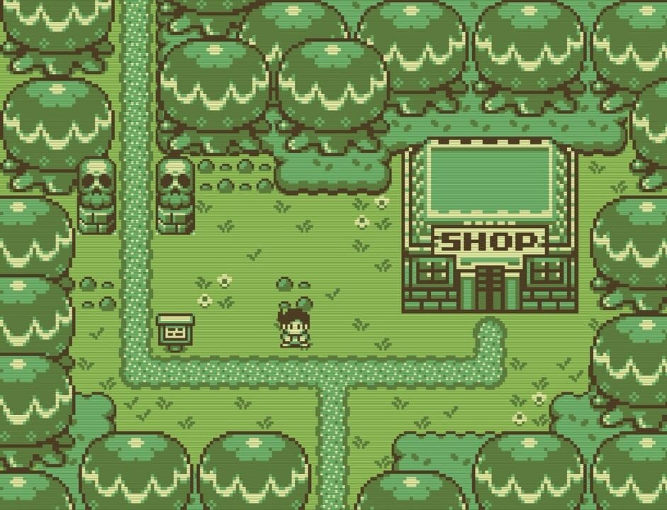 Timothy and the Mysterious Forest