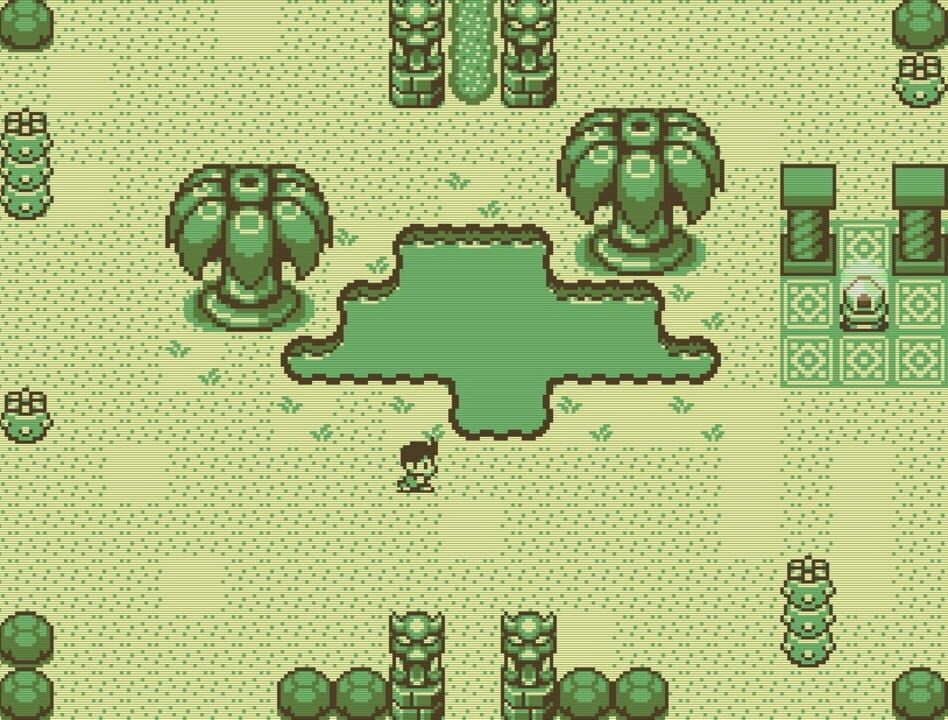 Timothy and the Mysterious Forest