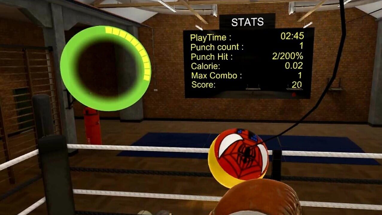 Fight Ball VR