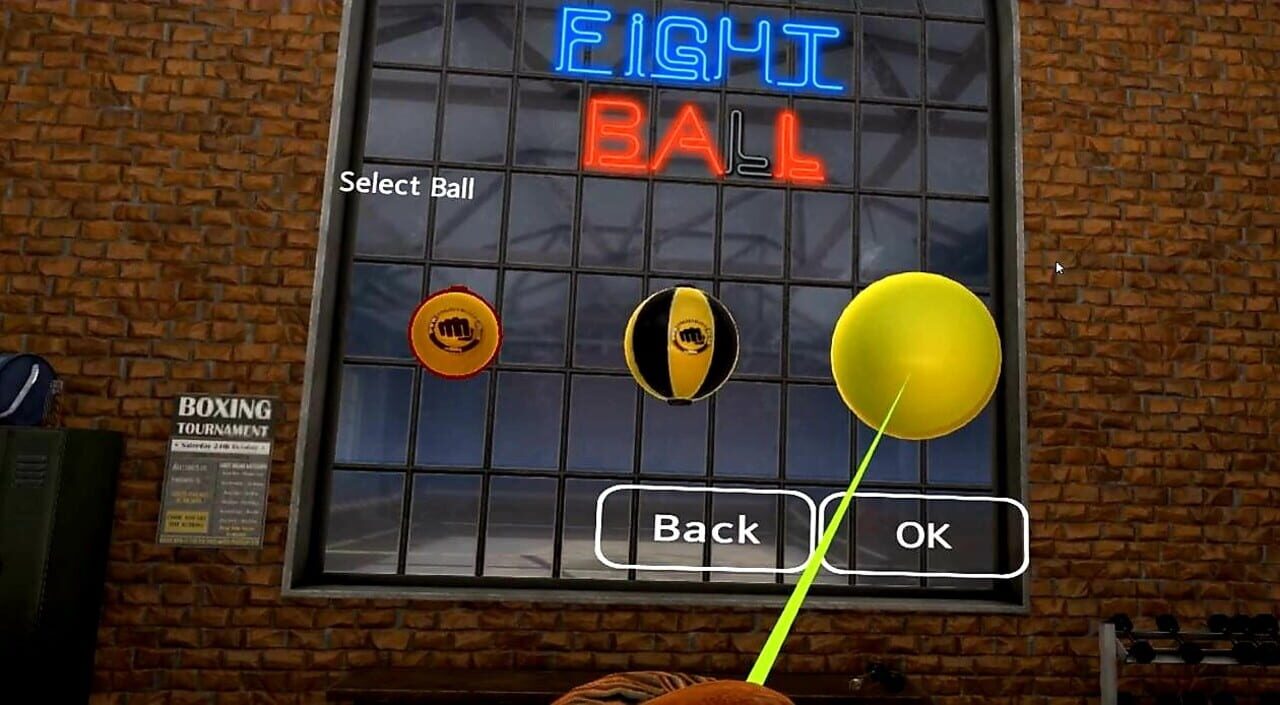 Fight Ball VR