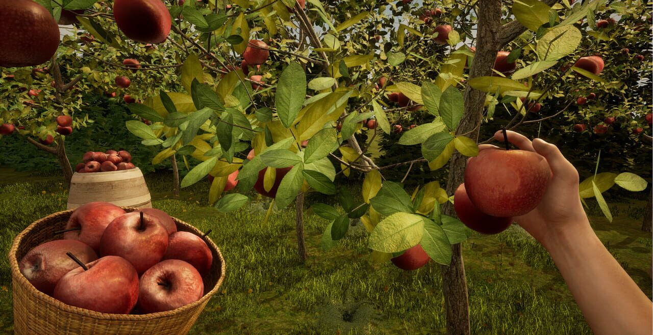 Orchard Simulator