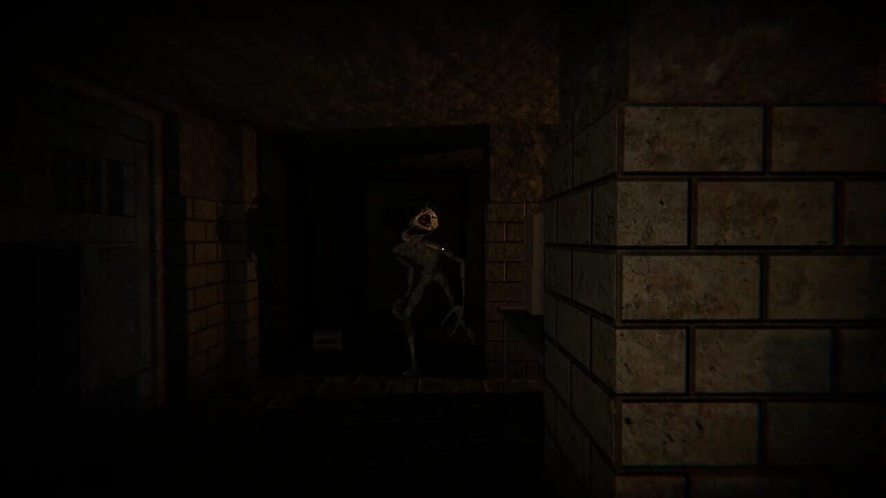 The Designer’s Curse