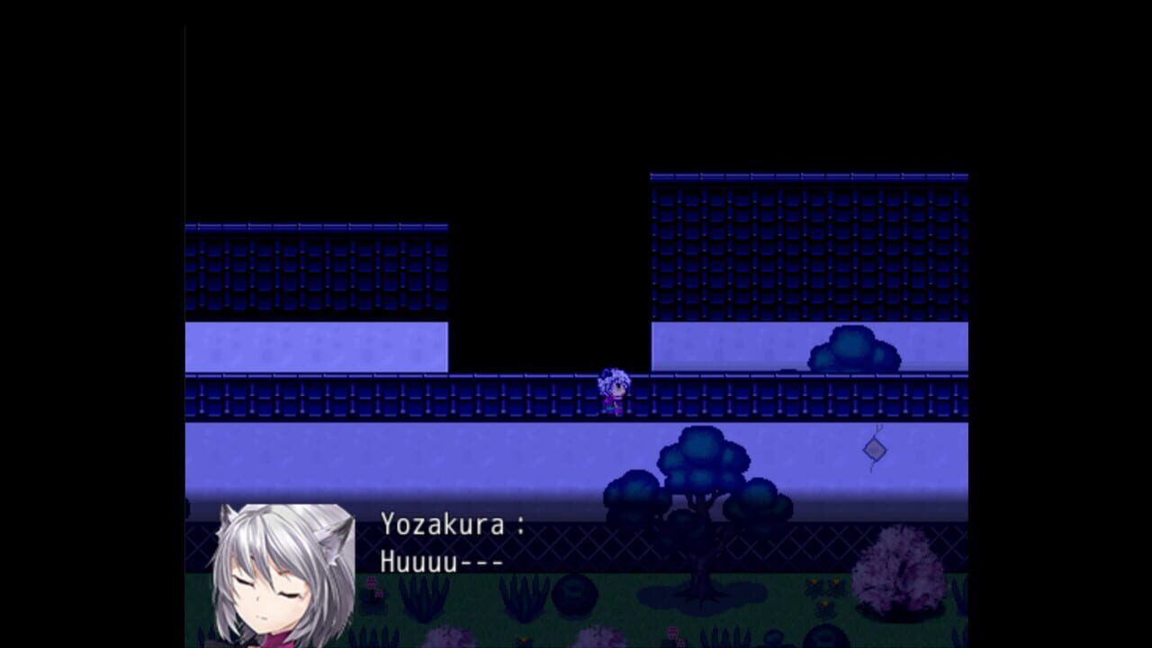 Kunoichi Ninja