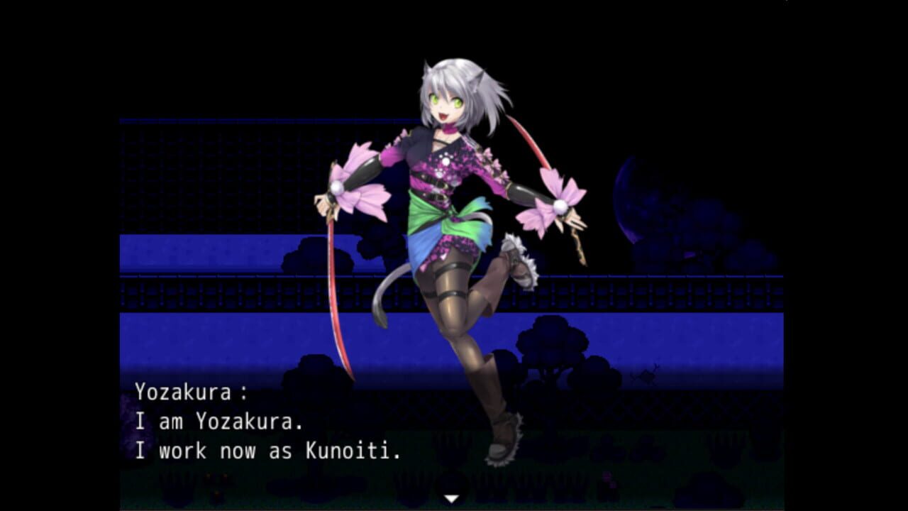 Kunoichi Ninja