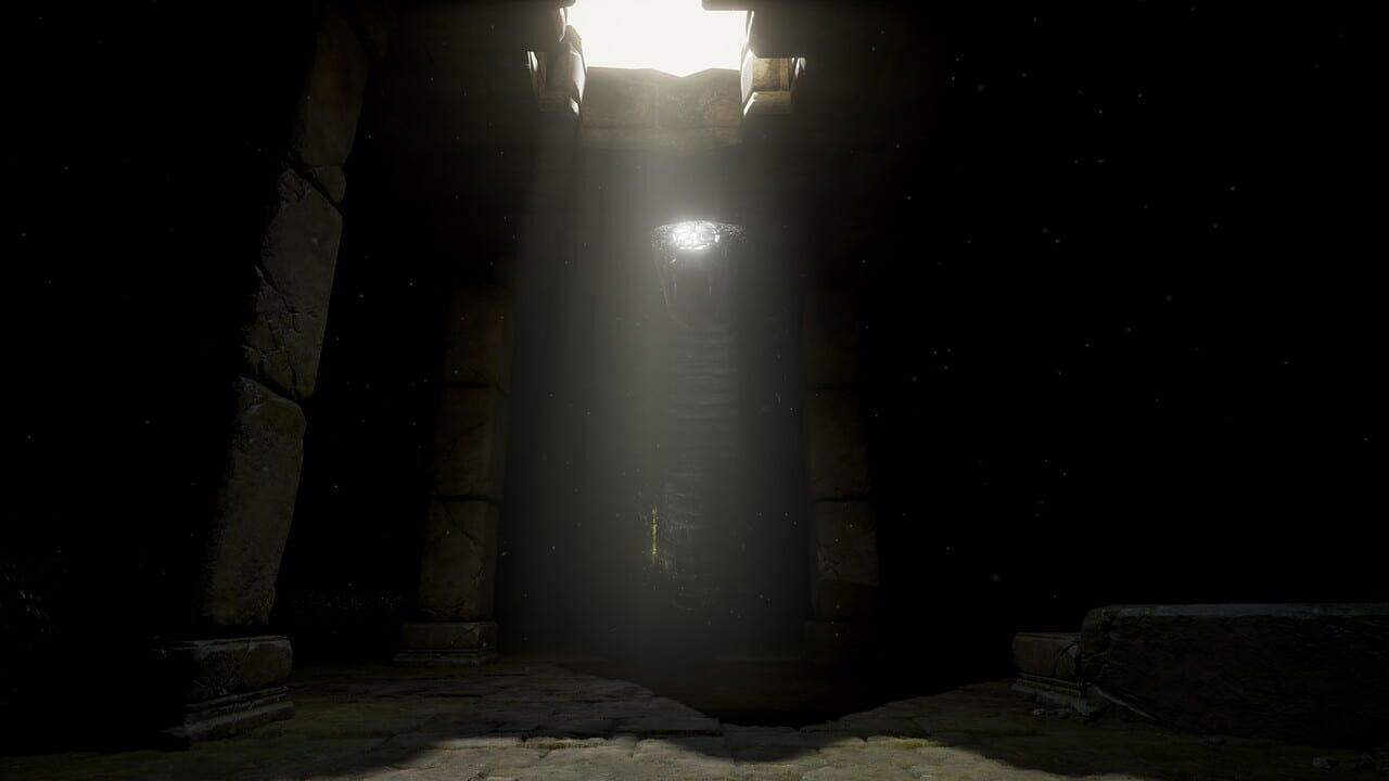 Follow the White Rabbit VR