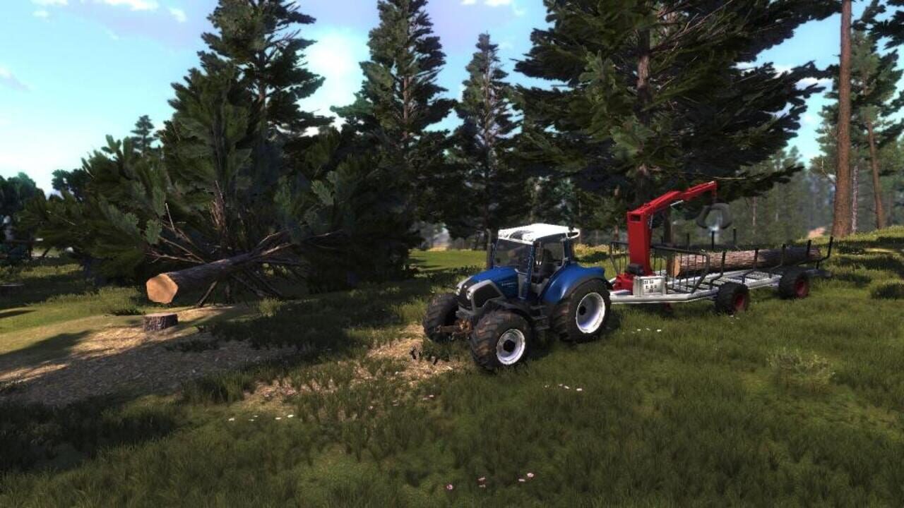Lumberjack’s Dynasty