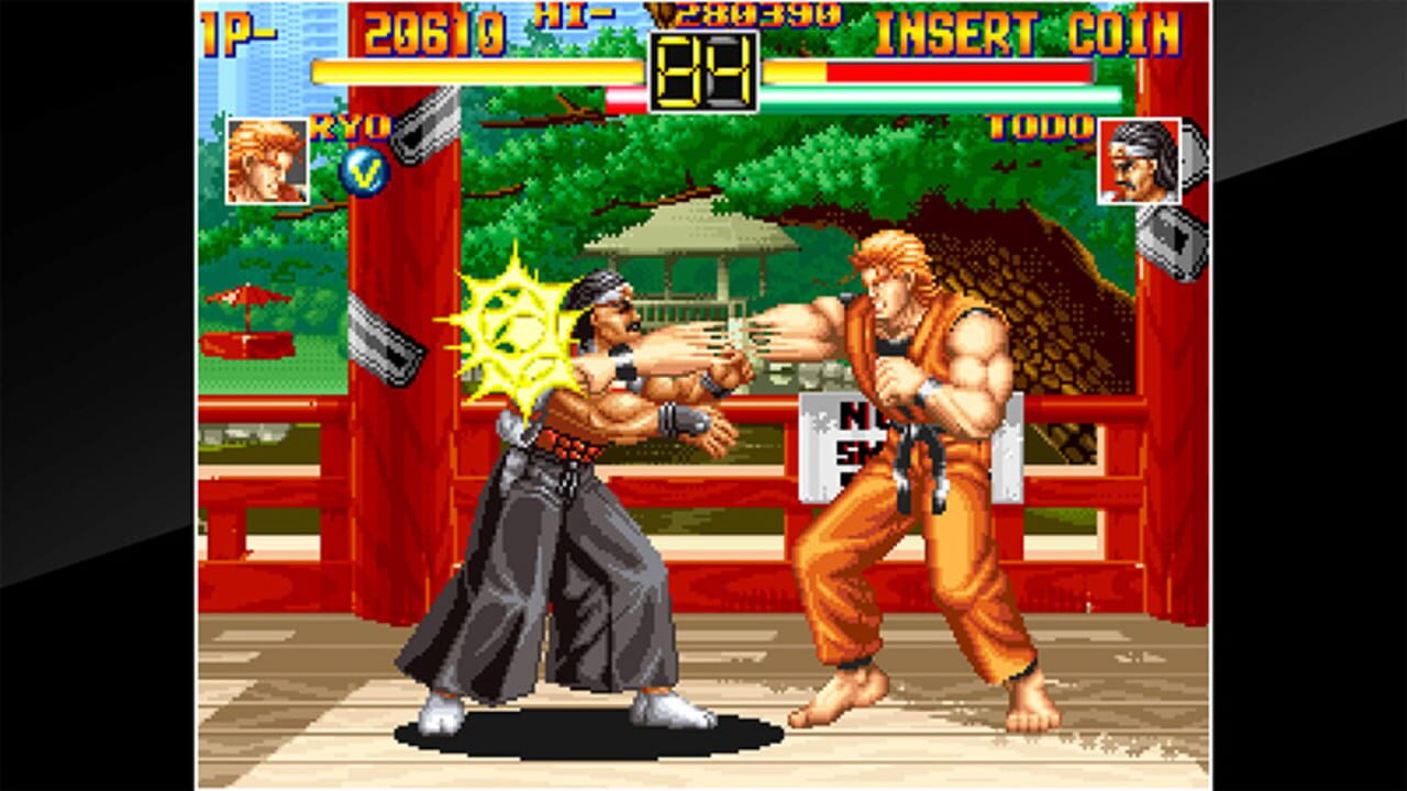 ACA Neo Geo: Art of Fighting