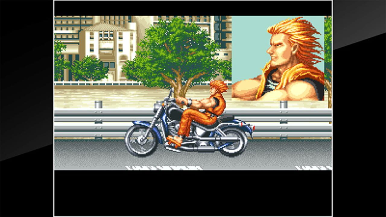 ACA Neo Geo: Art of Fighting