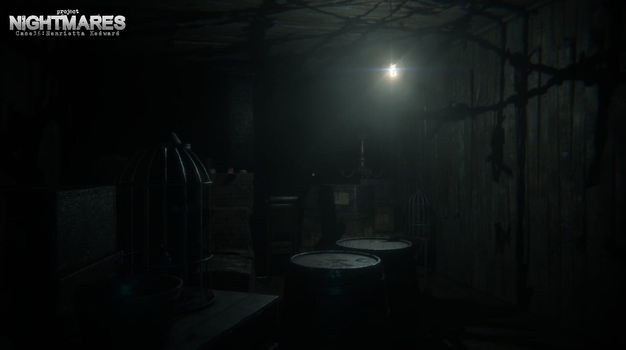 Project Nightmares Case 36: Henrietta Kedward